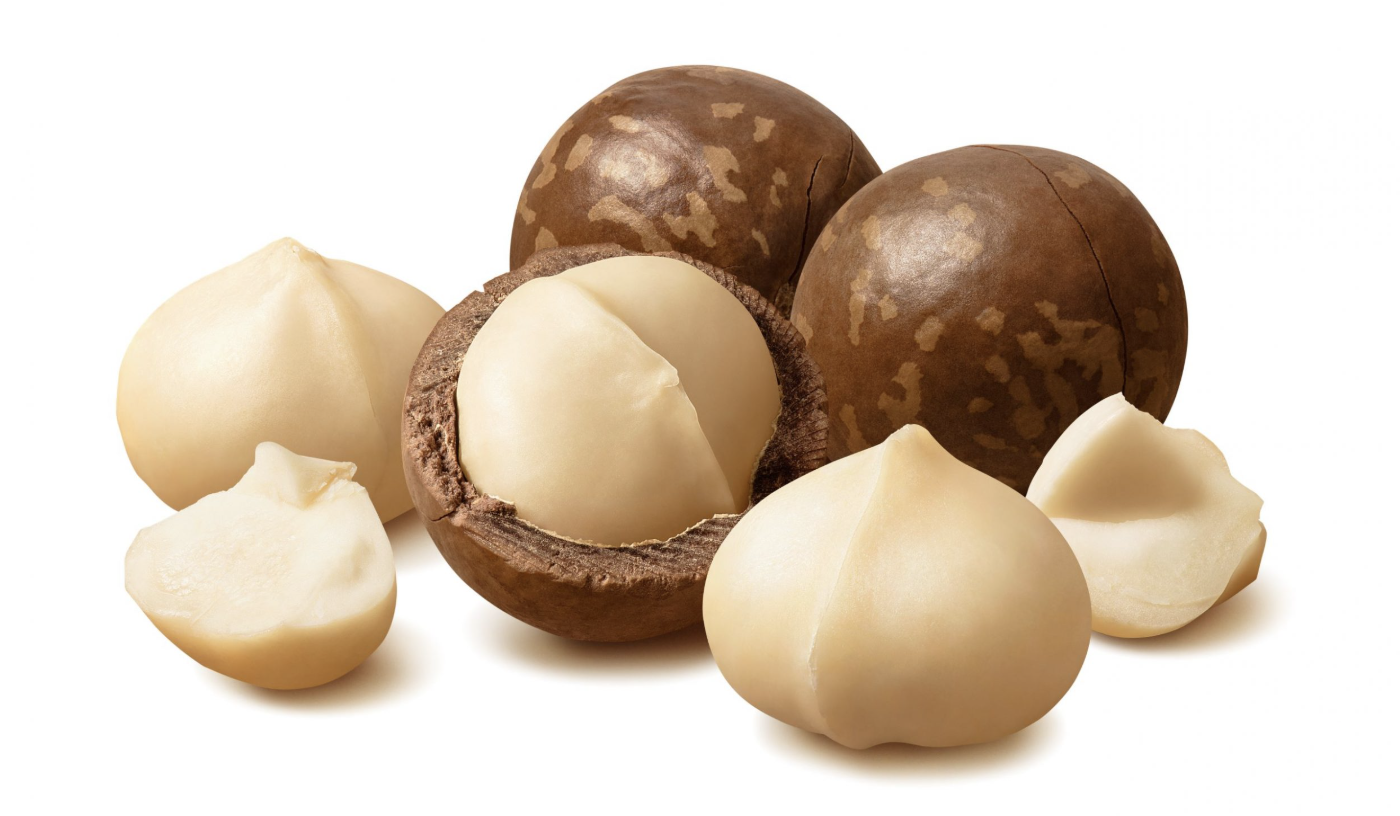 Macadamia Nuts