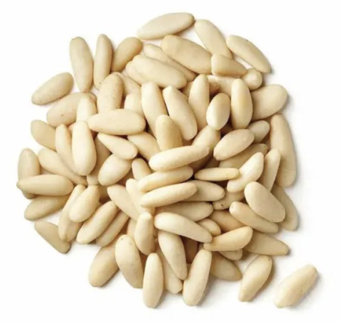 Pine Nut